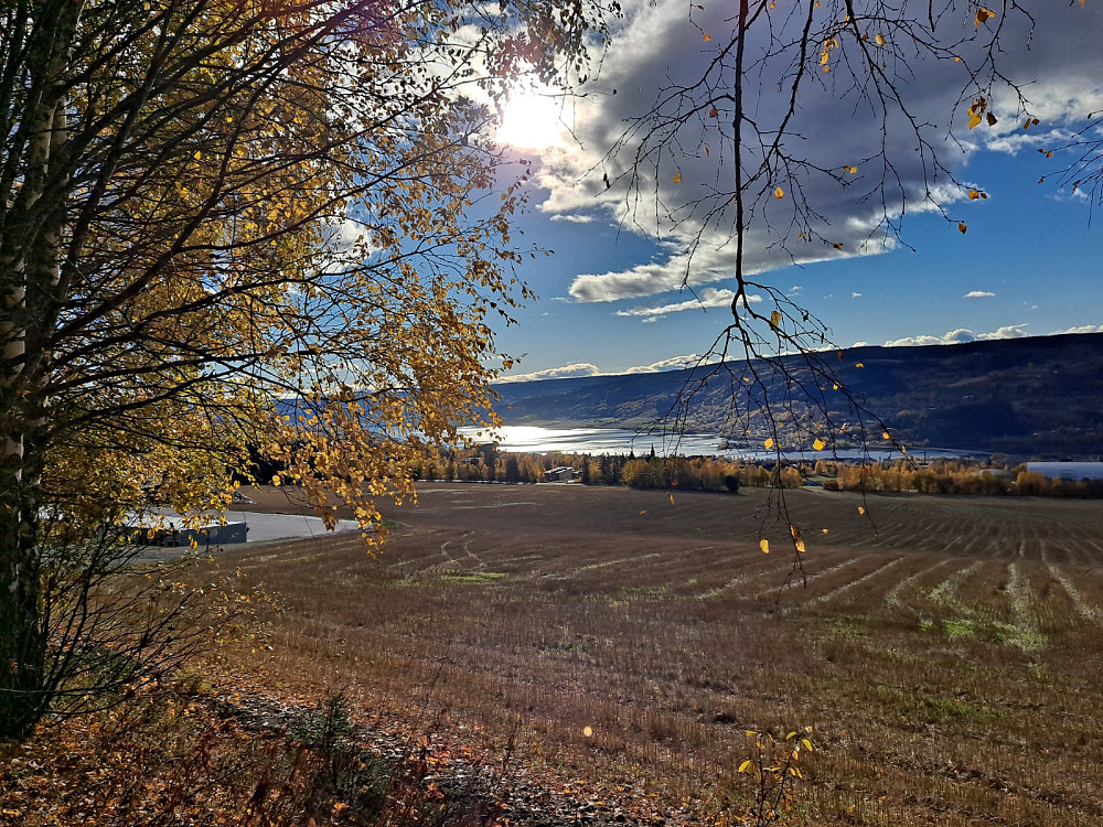 Over Lysgårdsjordet