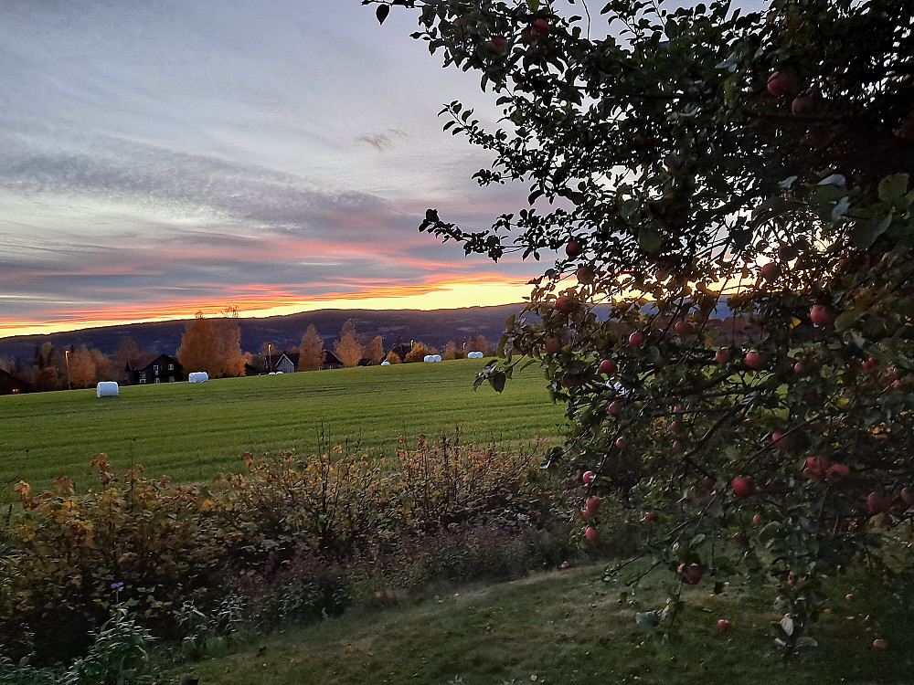 Fin kveld i dag også