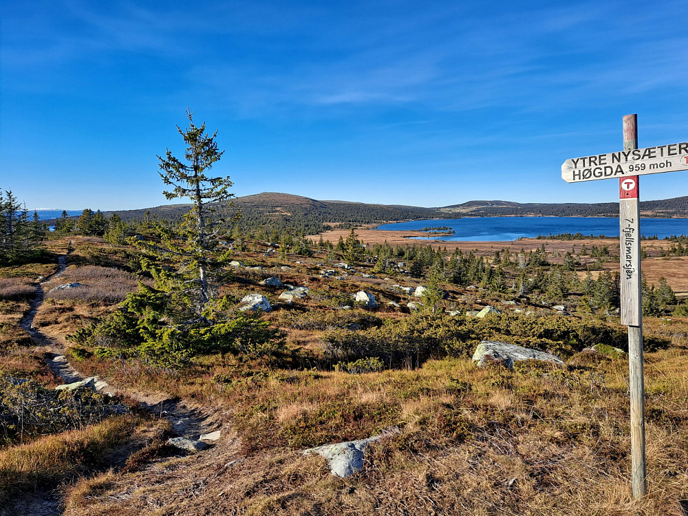 På Ytre Nysæterhøgda