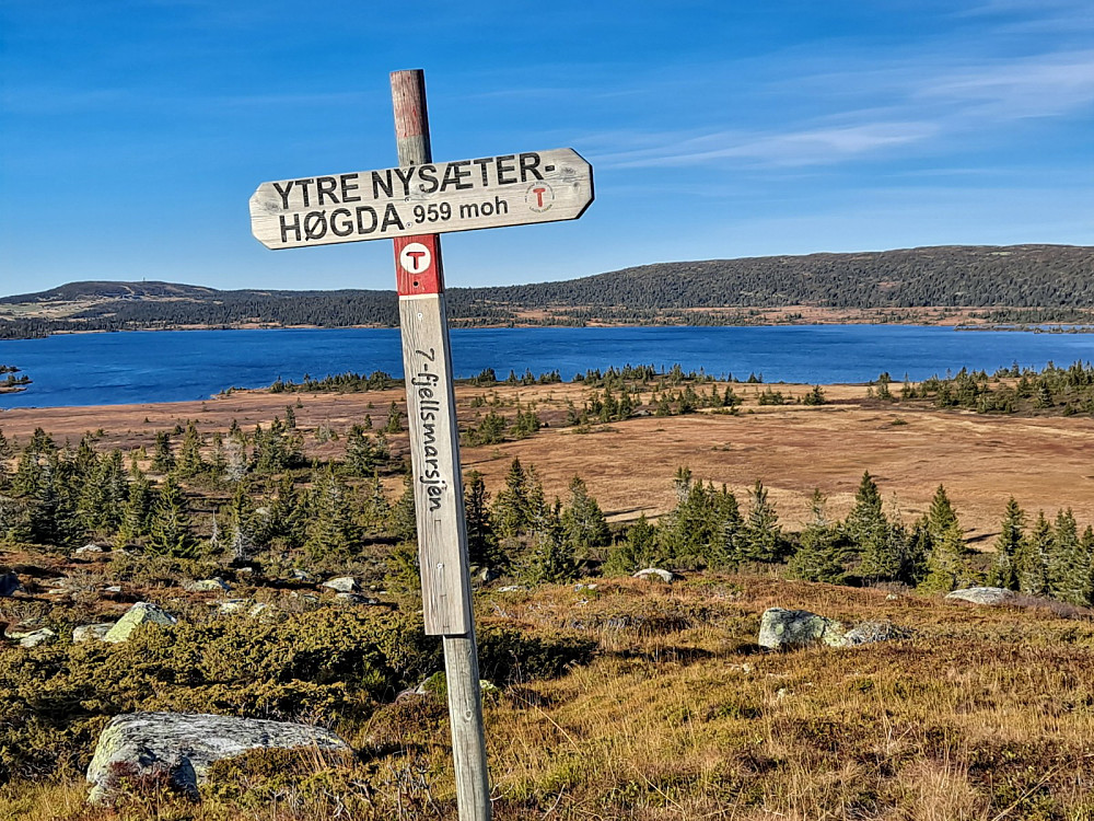 På Ytre Nysæterhøgda