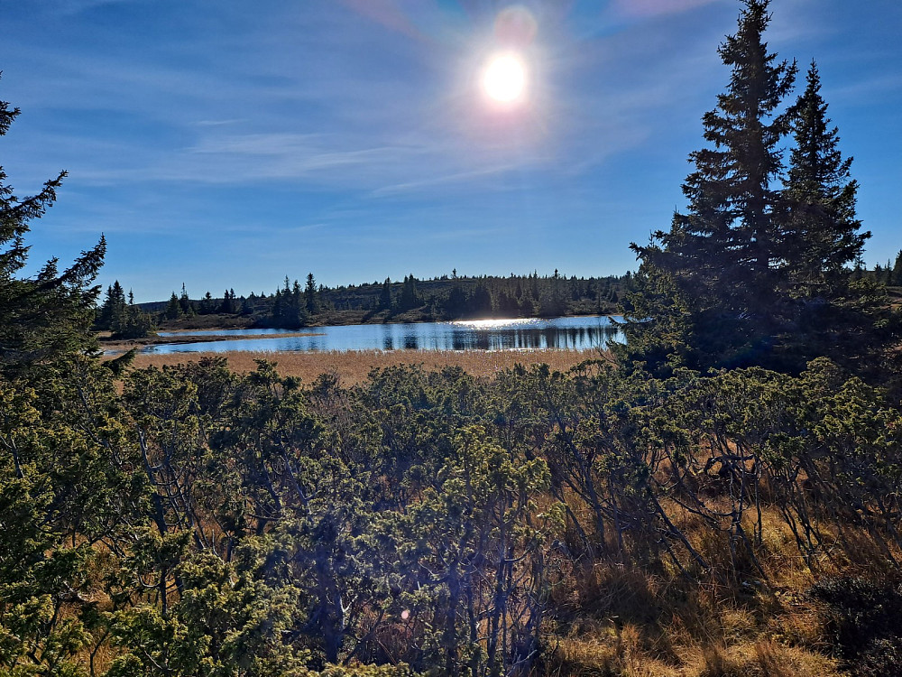 Over Lomtjernet mot Løvisåsen