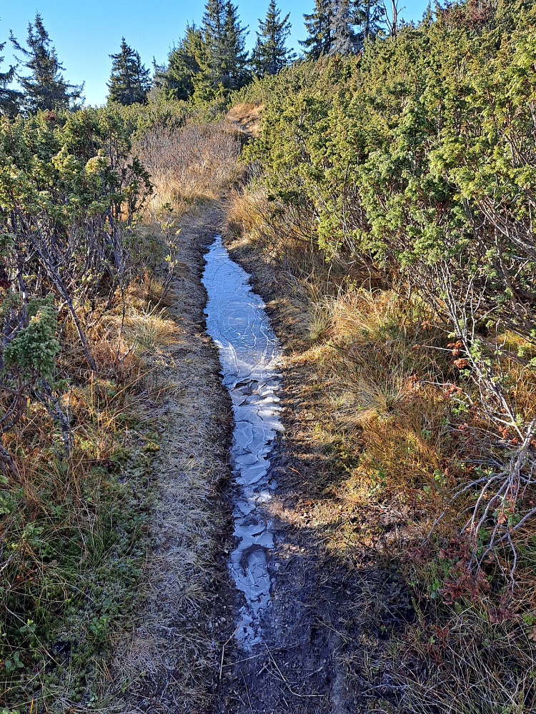 Litt is i råket