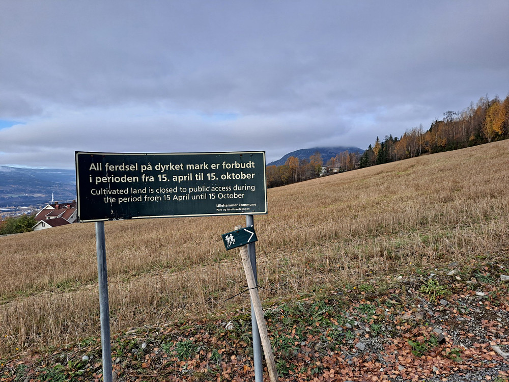 Gikk over jordet i dag