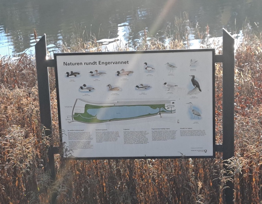 INFO-tavle langs Engervatnet
