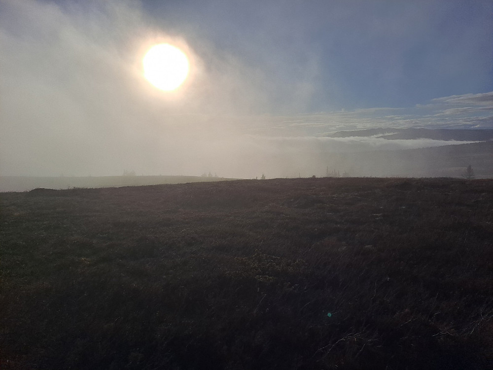 På veg ned fra Hærfjellet