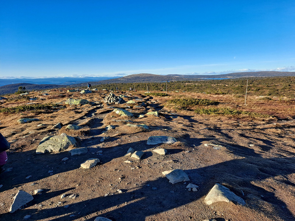 På Lunkefjell
