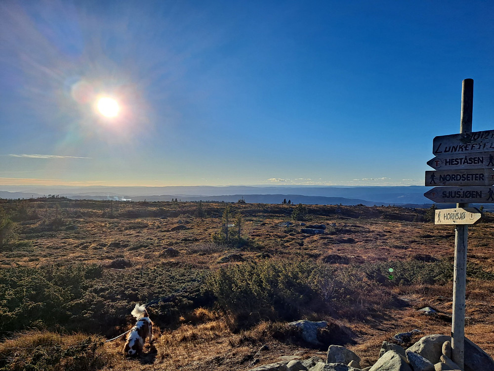 På Lunkefjell
