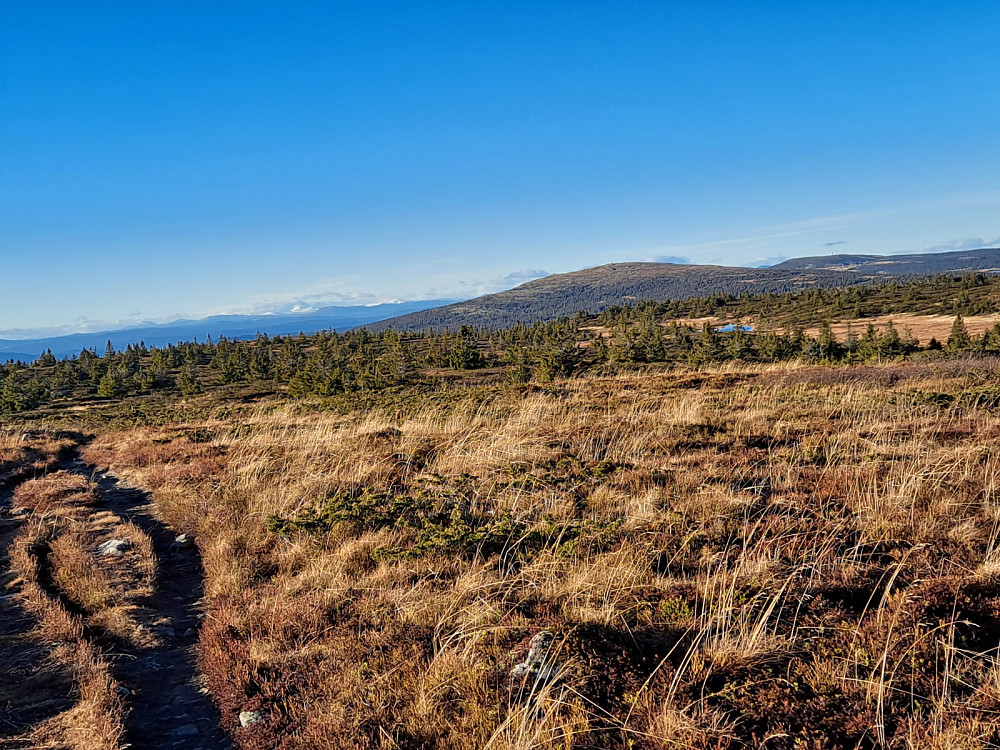 På Lunkefjell vest