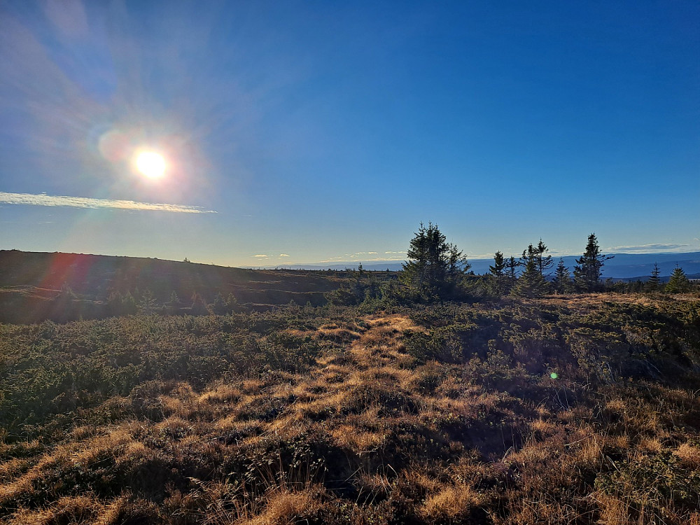 På Lunkefjell vest