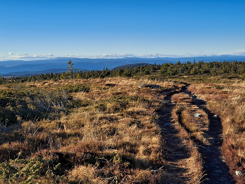 På Lunkefjell vest