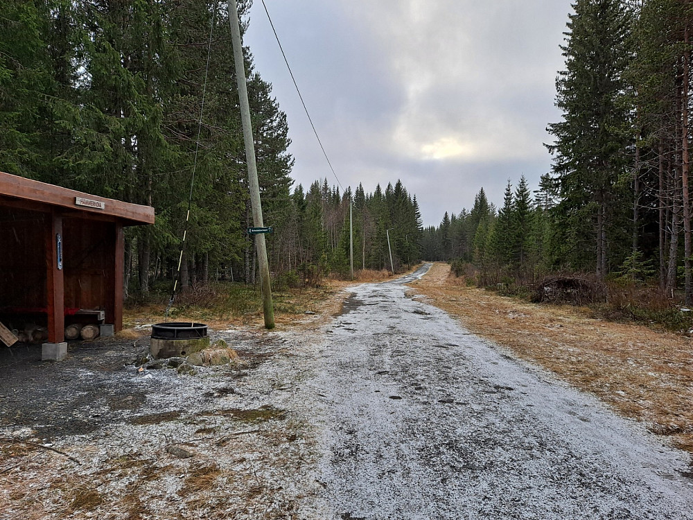 Ved Hammerkoia