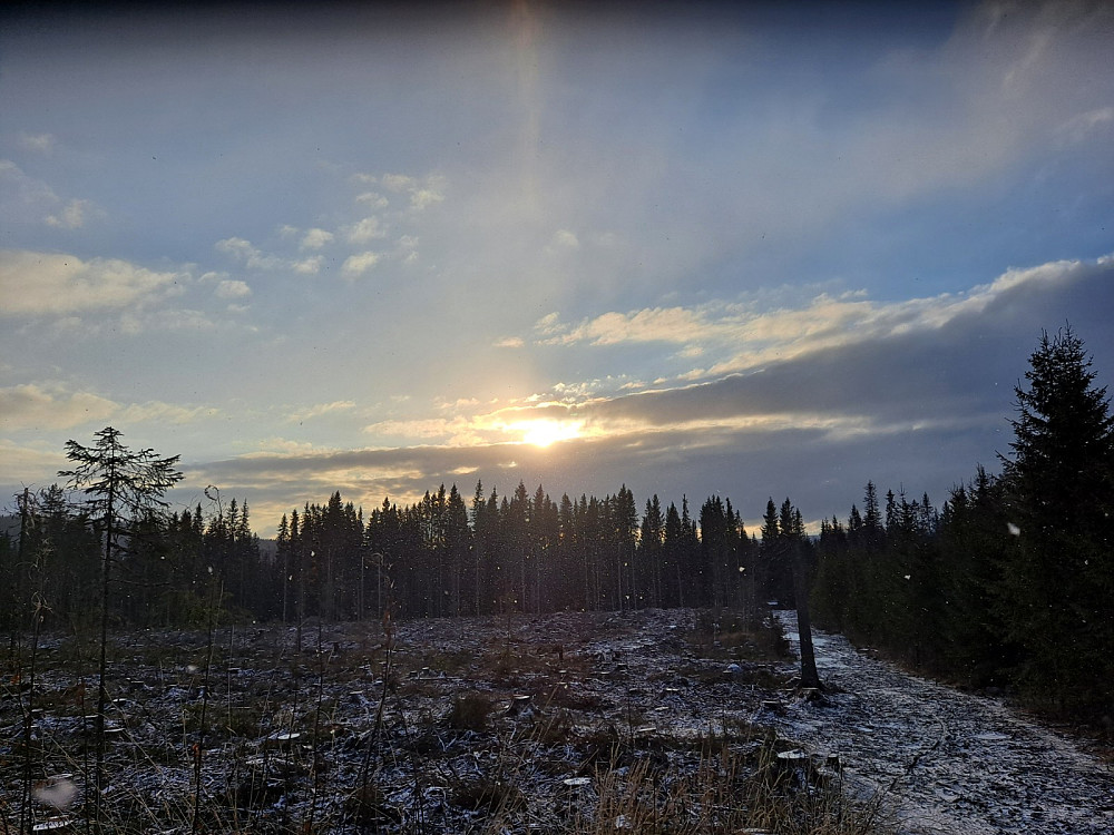 Nedfartsløypa