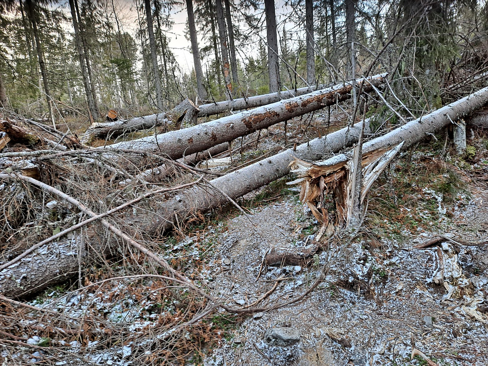 Snudde her, uframkommelig