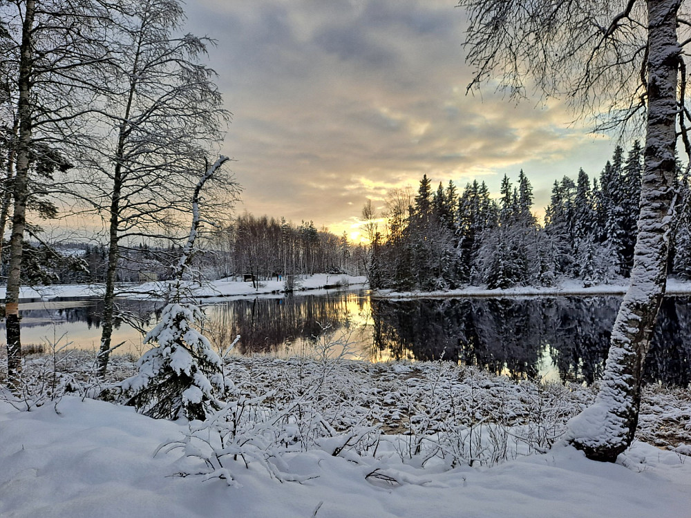 Ved Krokbua