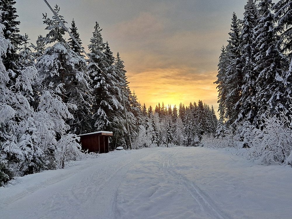 ved Hammerkoia