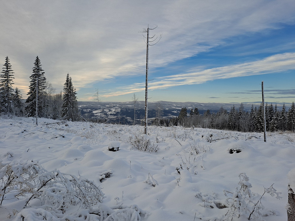 Fra løypa til Vårsetergrenda