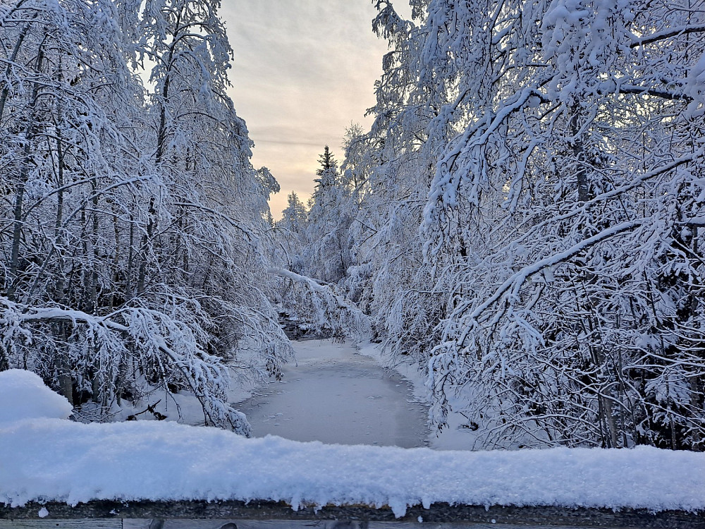Ved brua over Mesnaelva