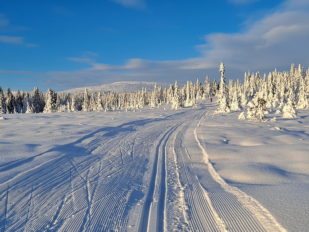 Mot Nevelfjell