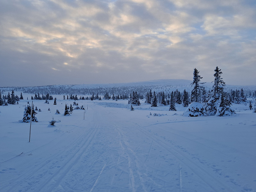 Mot Nevelfjell fra løypa mot Pellevegen