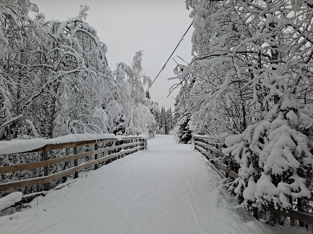 Ved brua over Mesnaelva