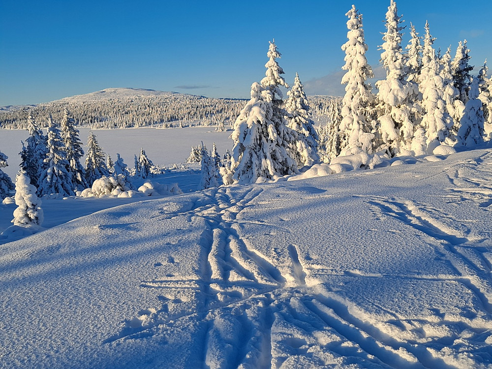 Mot Nevelfjell fra Reinavegen