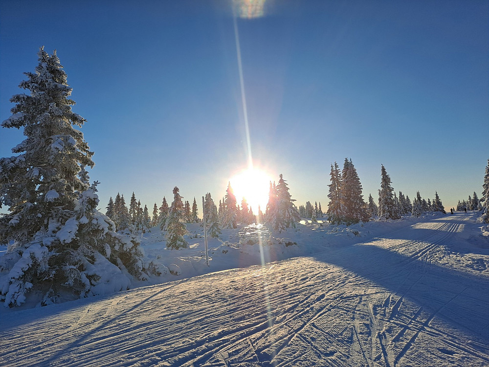 På Reinavegen, der Nevelosvegen tar av