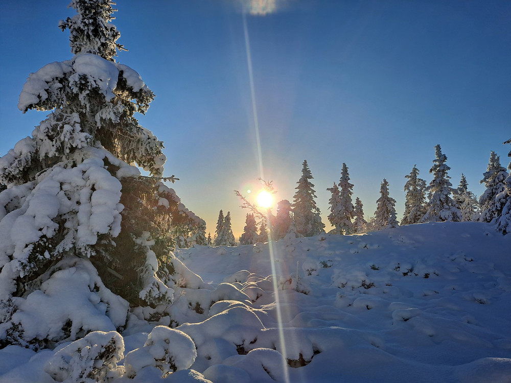 På Nevelosvegen