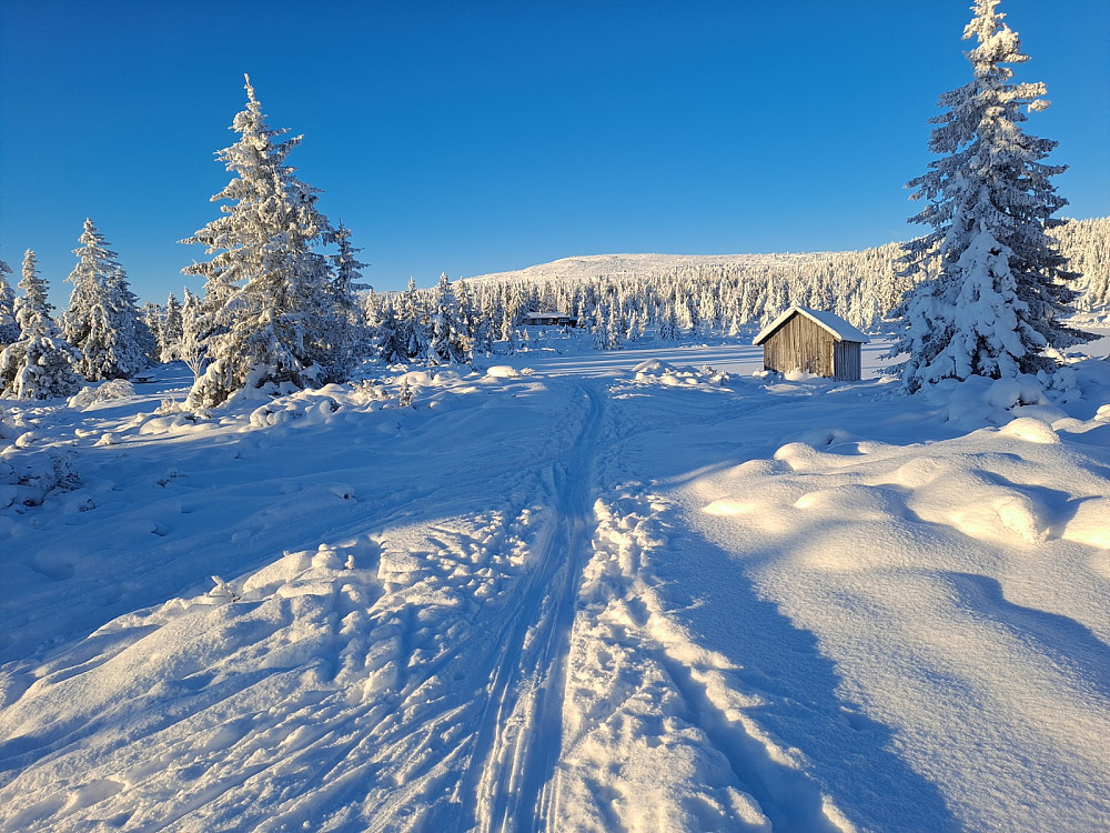 Mor Nevelfjell fra Nevelosen