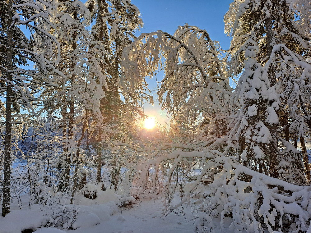 Mesnaelva ved Birkebeinerløypa