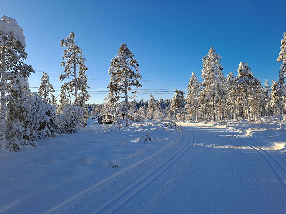 Birkebeinerløya ved Kubrua