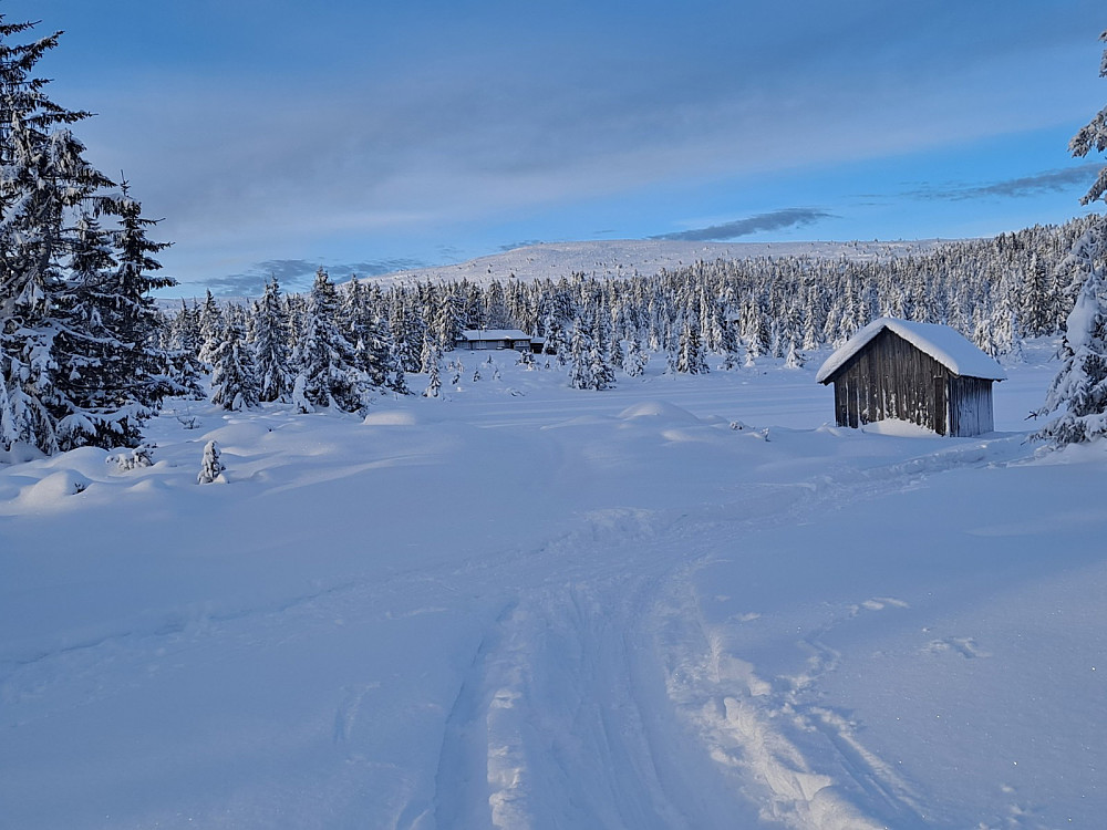 Ved Nevelosen, mot Nevelfjell