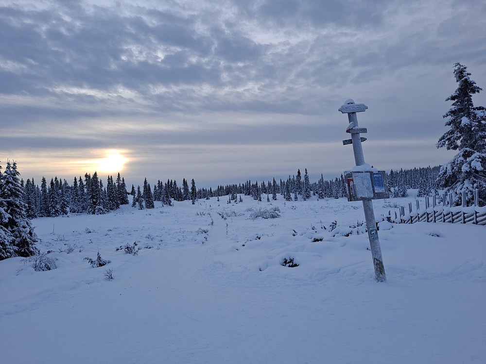 Ved løypekrysset Trondsmyra