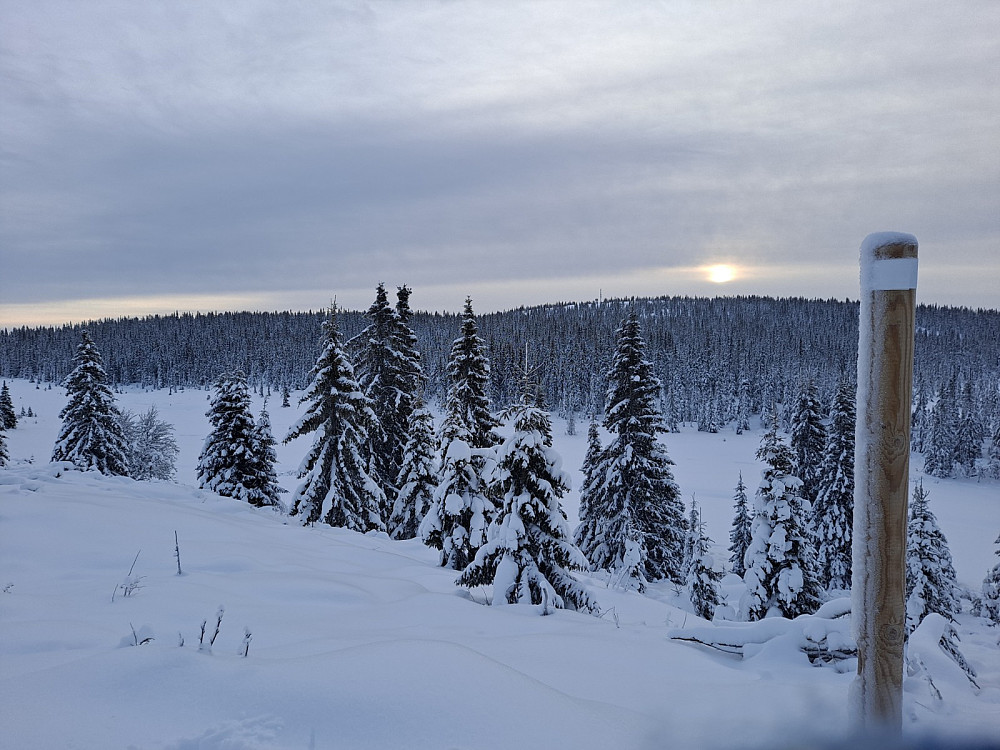 Mot Grøtåshaugen