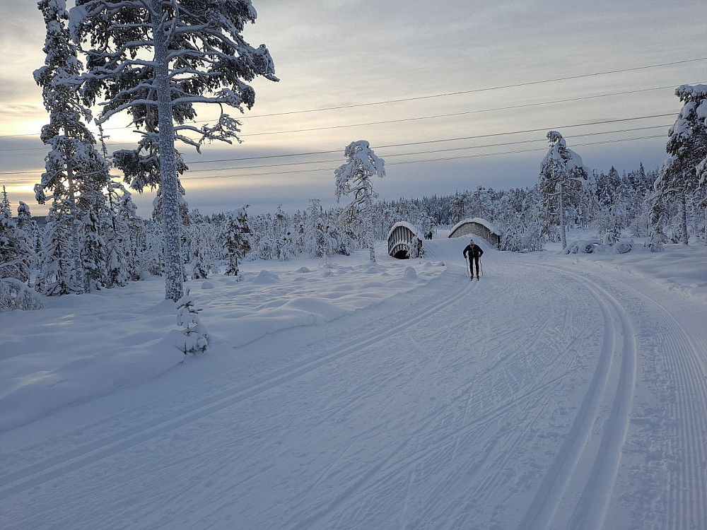 Birkebeinerløypa ved Kubrua