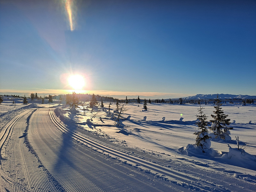 Ved krysset opp til Hærfjellet
