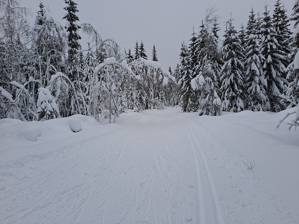 I Ingalåmi