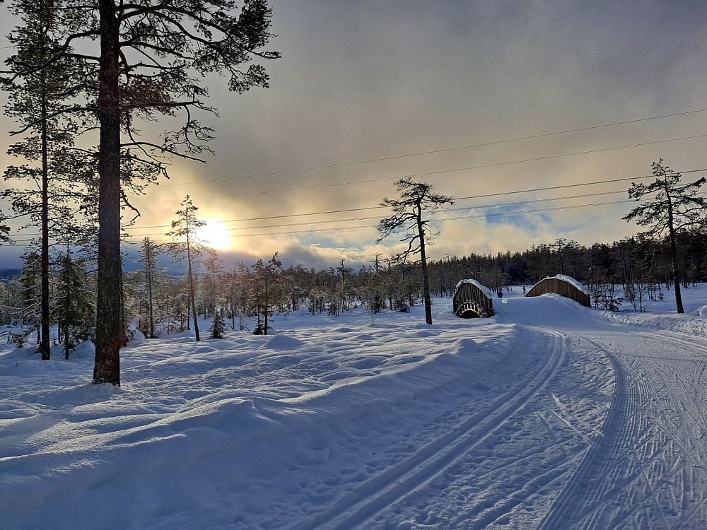 Ved Kubrua