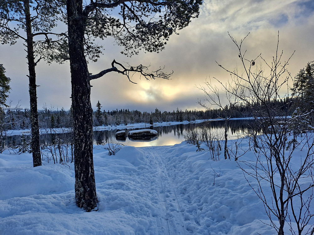 Mesnaelva ved Bottilflø