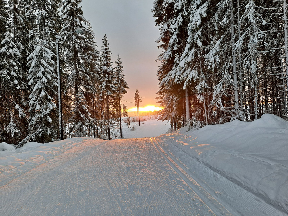 I lysløypa