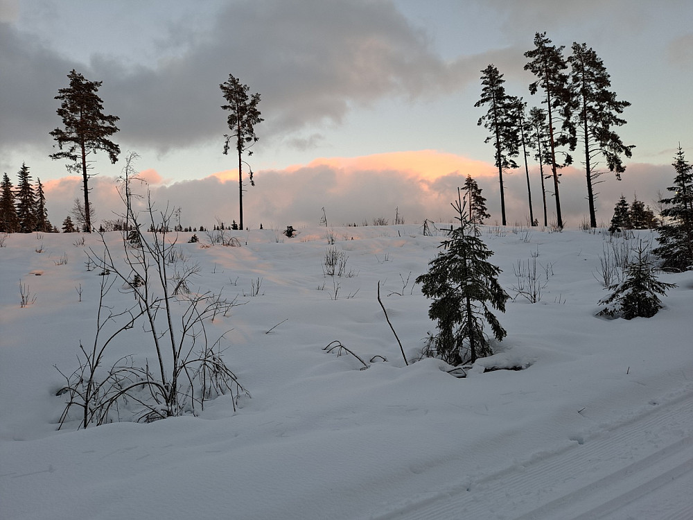 I Kanthaugenområdet