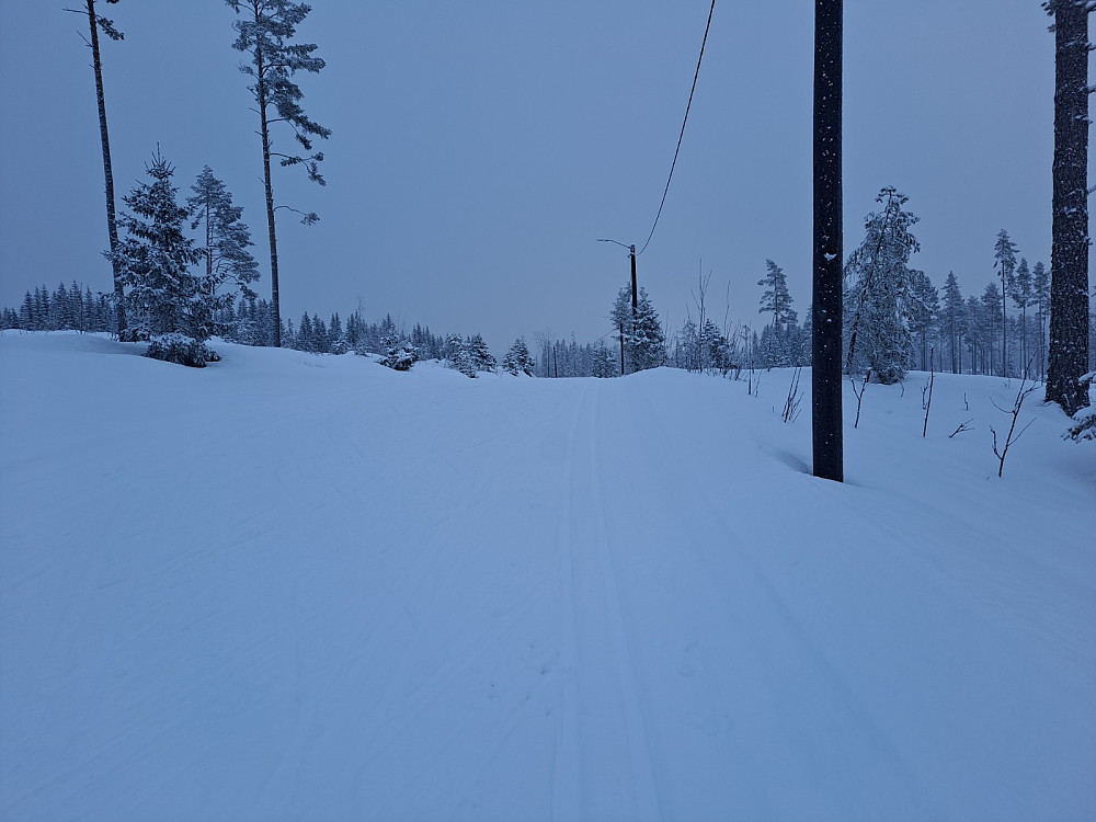 I Lysløypa