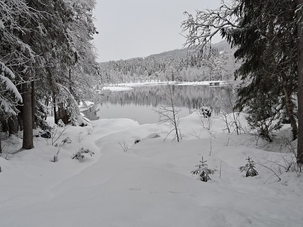 Mesnaelva ved scooterløypa mot Øvstedalsfossen