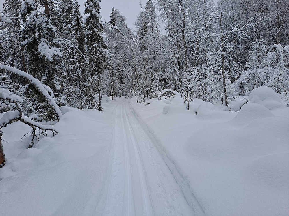 I scooterløypa