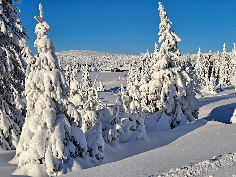 Mot Nevelfjell ved turstart