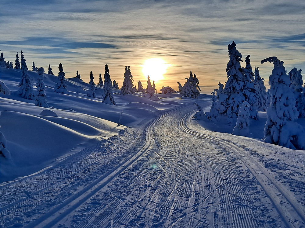 Oppover mot Nevelåsen
