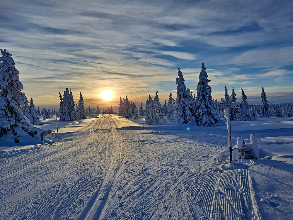ved Nevelosvegkrysset
