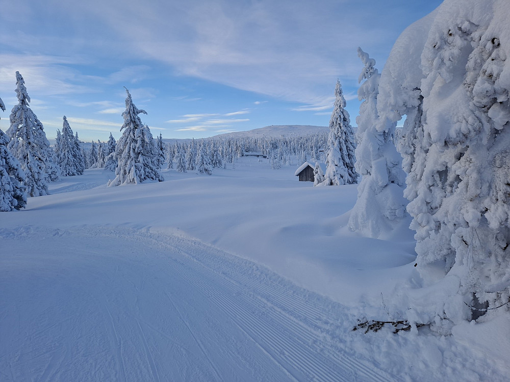 Nevelfjell fra Nevelosen