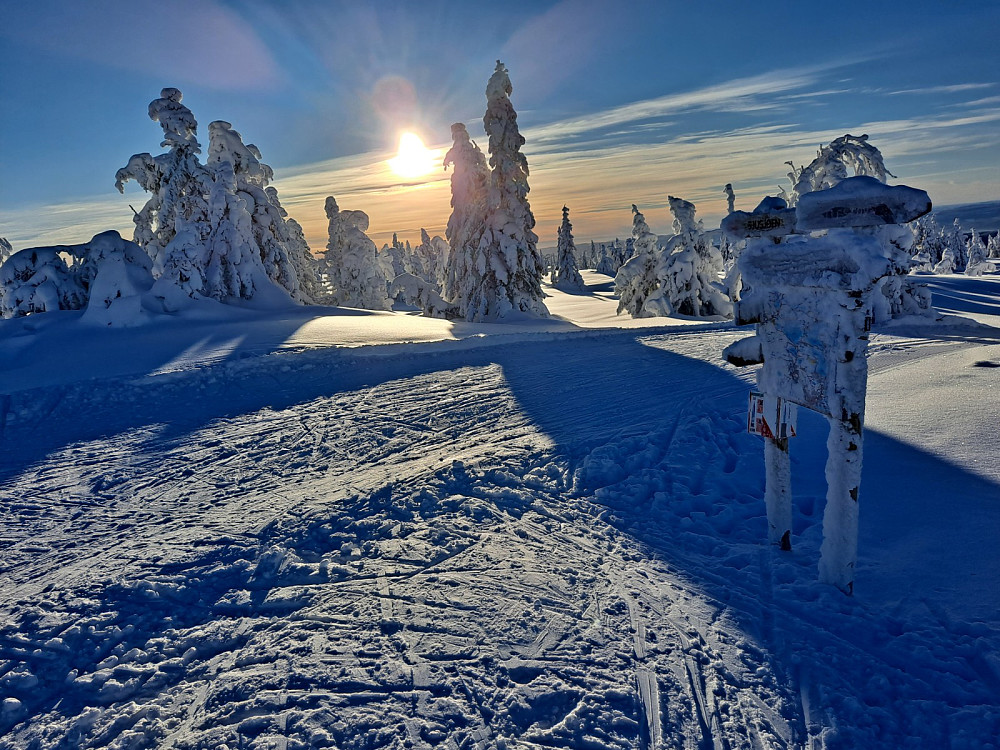 Ved løypekrysset Nordseterfjellet