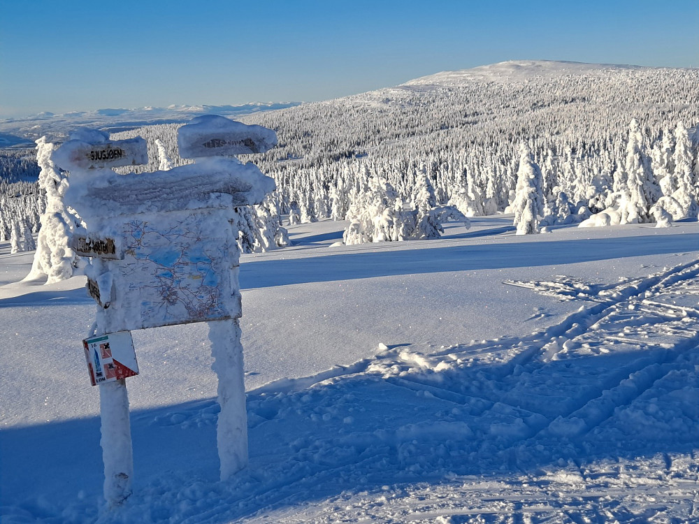 Løypekrysset Nordseterfjellet