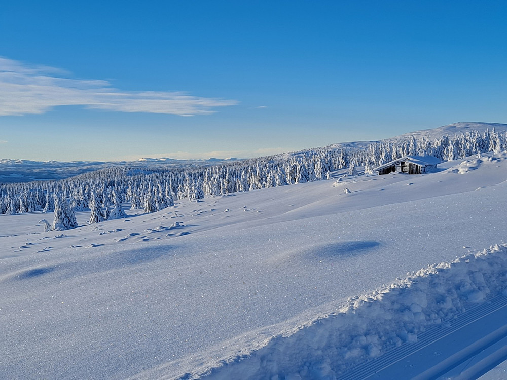 i løypa ved Løvisåsen